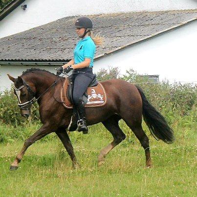 New Forest Alhedens Fleur billede 1