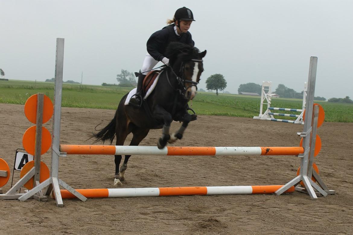 Welsh Pony (sec B) Lyngvejens Malu - Malu til Klubmesterskab<3 billede 5