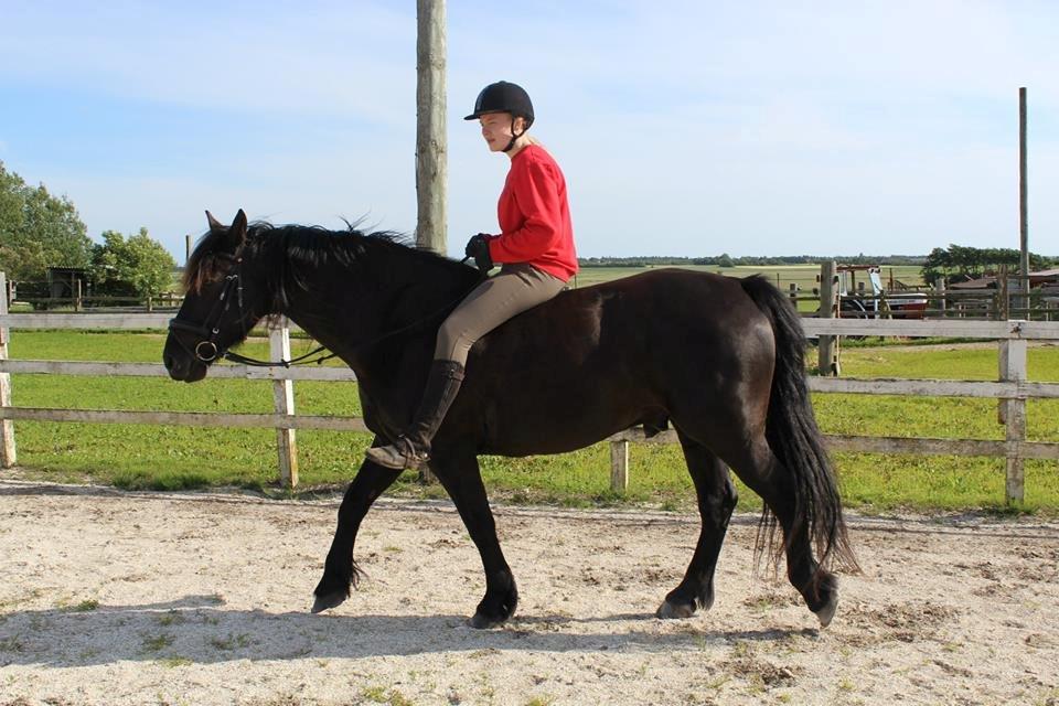 Anden særlig race Speedy - Skridter af! billede 14