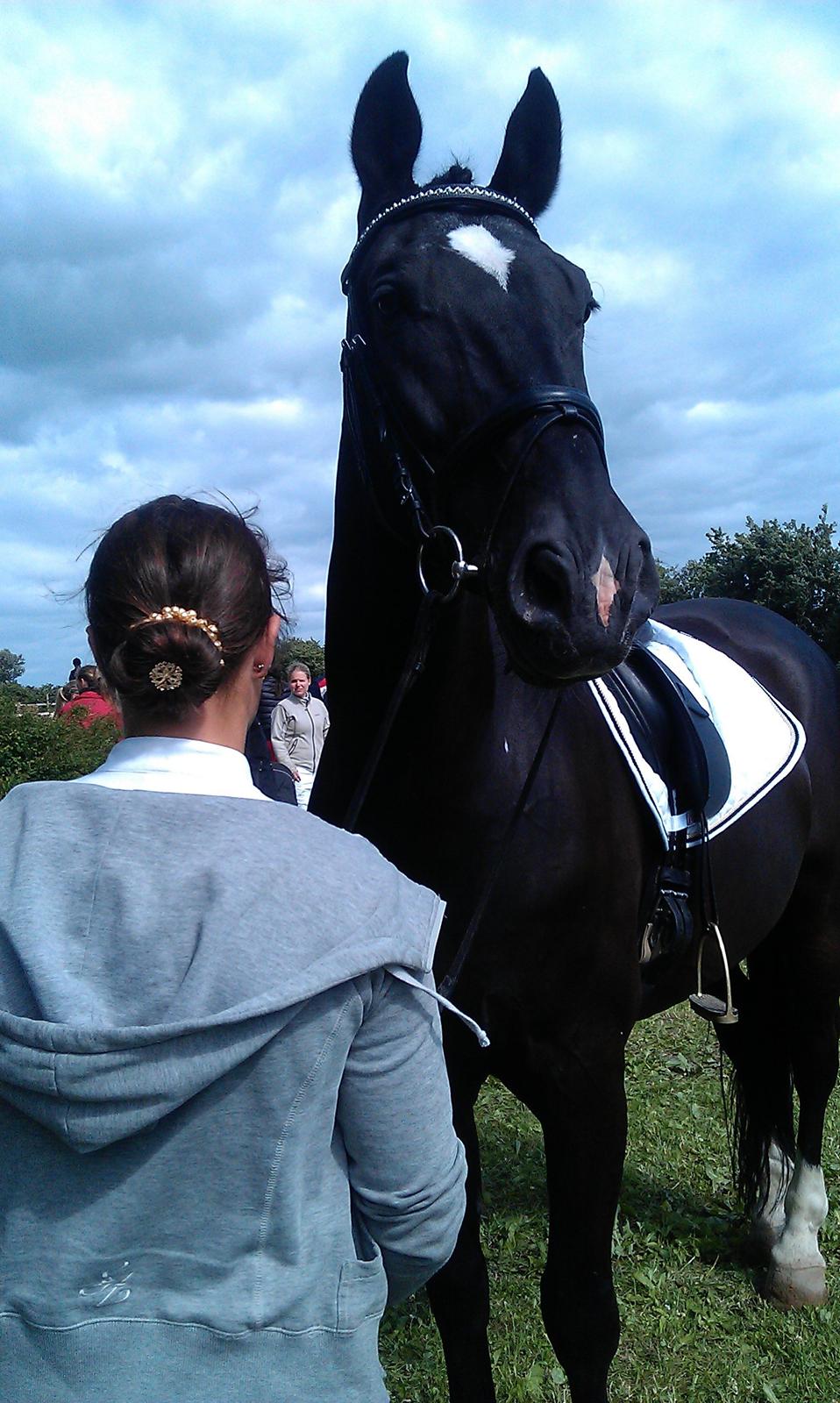 Oldenborg Opal Hjortelund billede 22