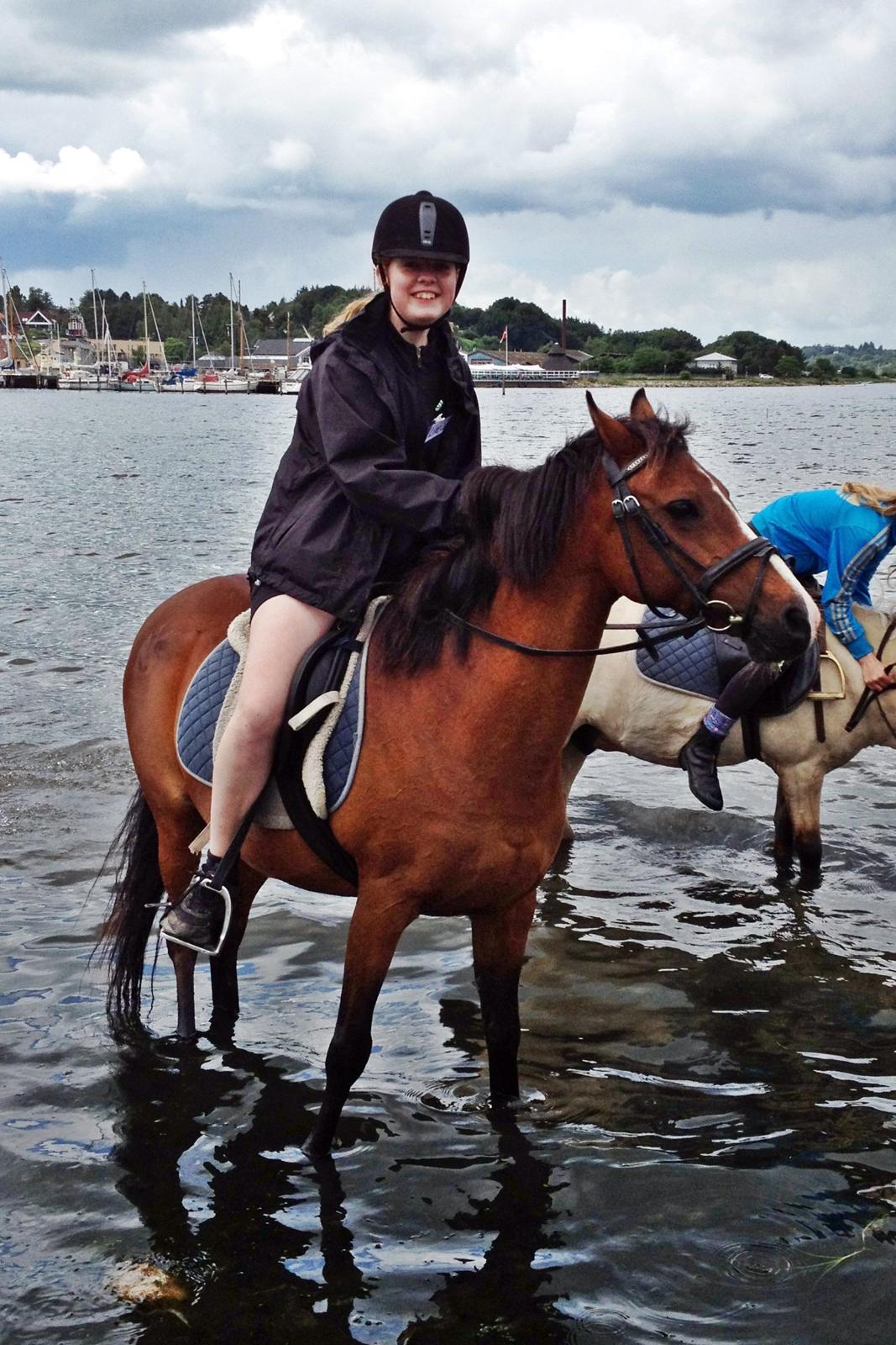 Anden særlig race Lady Dee - En tur i fjorden med ponydyret! - Juli 2013 billede 20