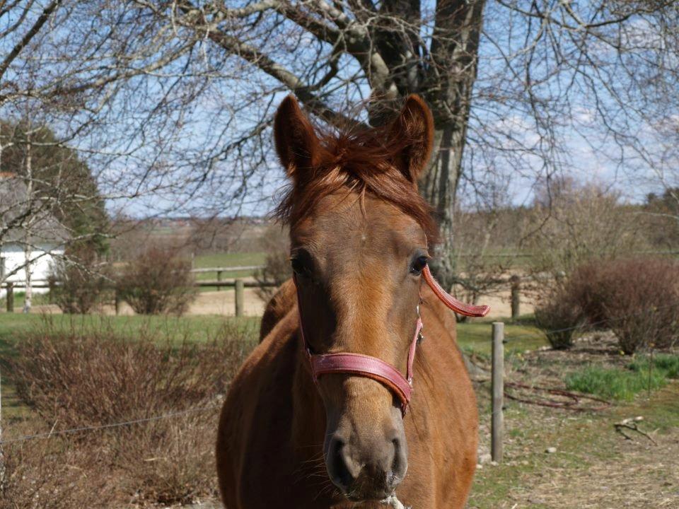 Anden særlig race Fame<33 den smukke - velkommen til fames profil håber i nyder billederne  billede 1