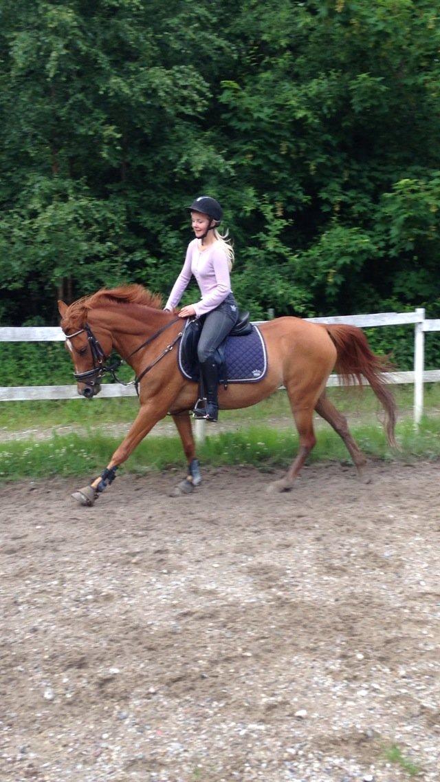 Anden særlig race Celina - Lækre:-* Foto: Felippa.
 billede 24