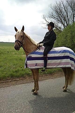 Palomino Axélls Bette Davis - 12. maj 2013, anden gang på tur efter folingen. Prinsessen er sååå sød! billede 8