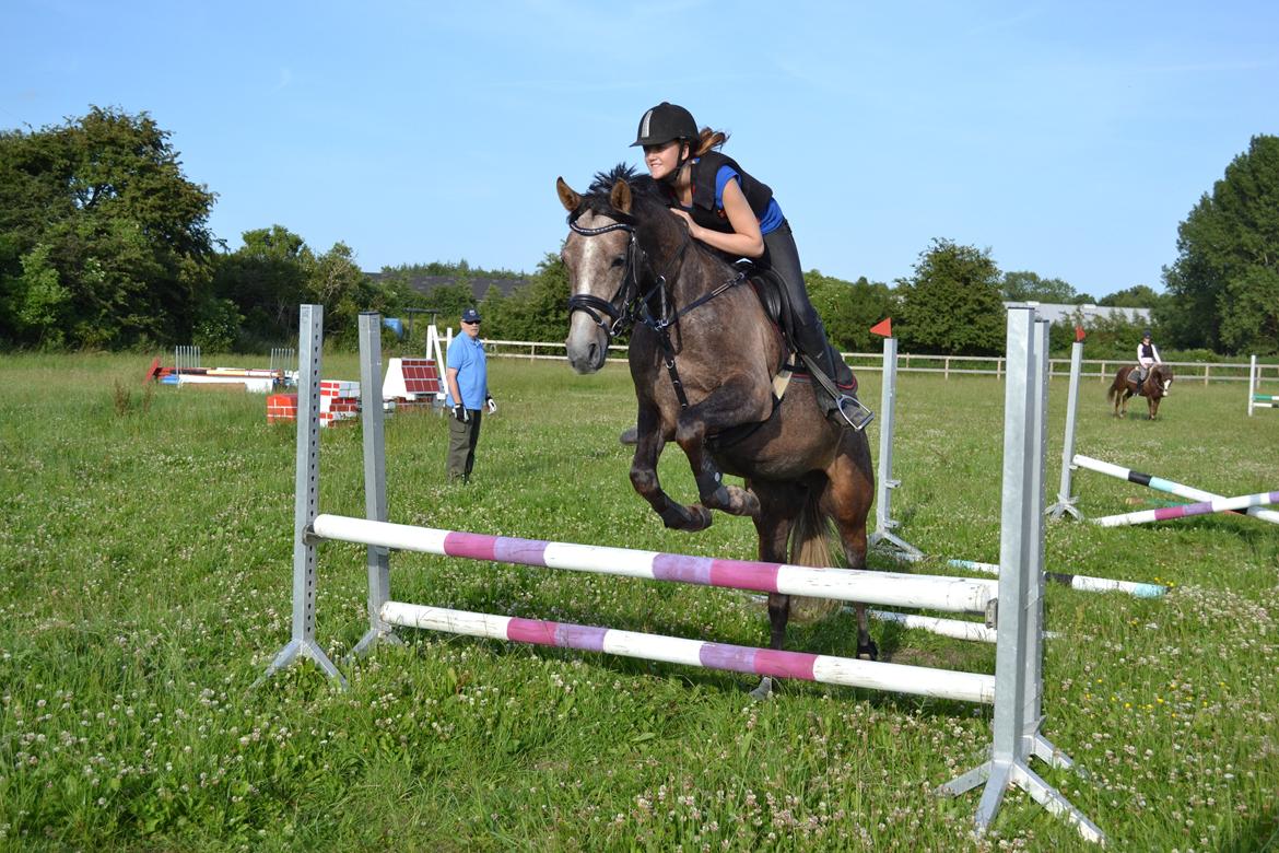 DSP Lundgårds Castillo billede 4