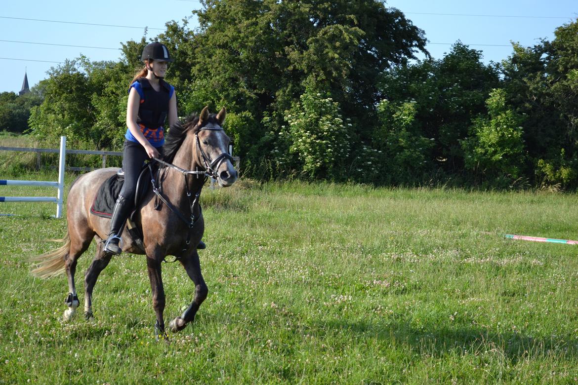 DSP Lundgårds Castillo billede 7