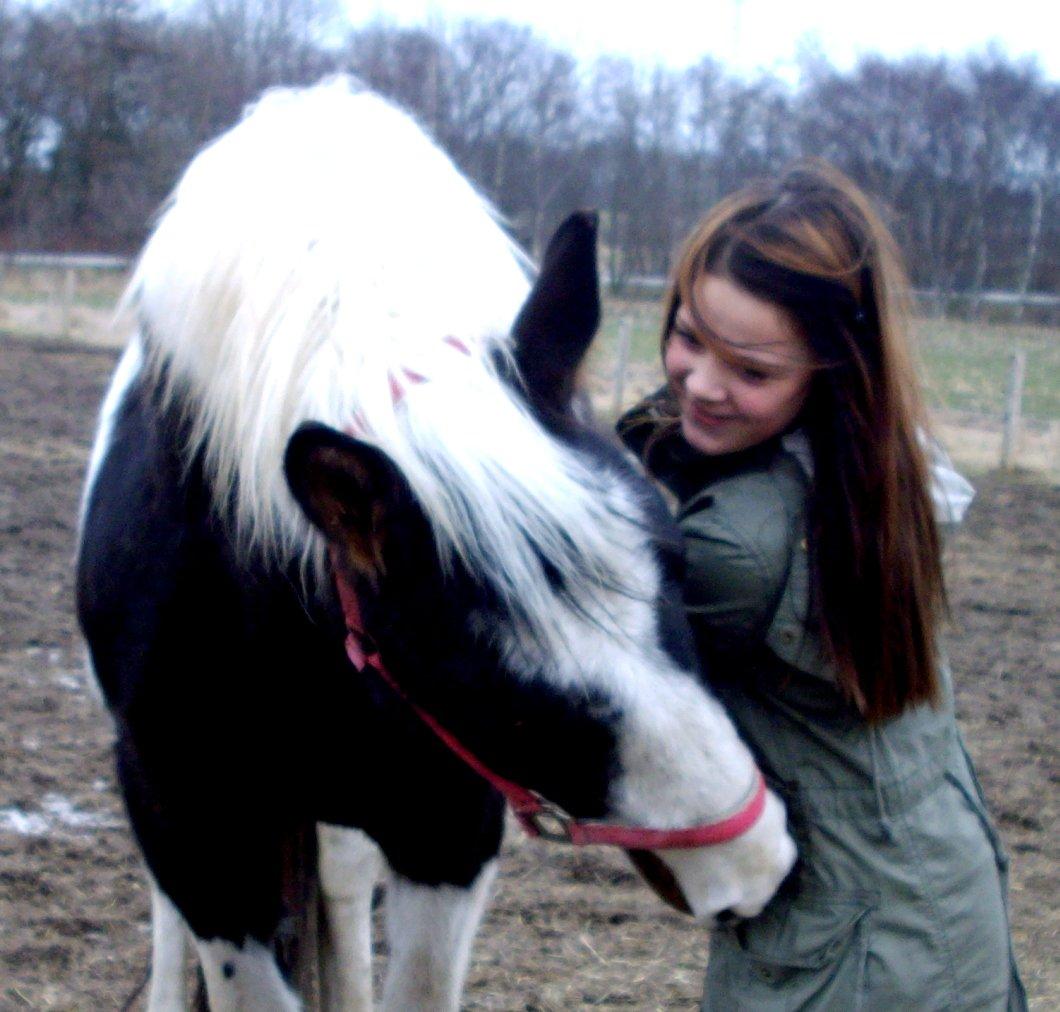 Pinto Tornado billede 11