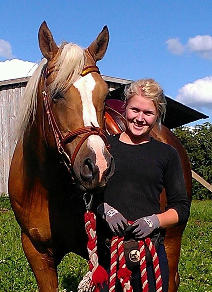 Palomino King's knight - Isabelle og drengen i fuld gang med tilridning :)
Foto: 02-07-2013, foto mig billede 6