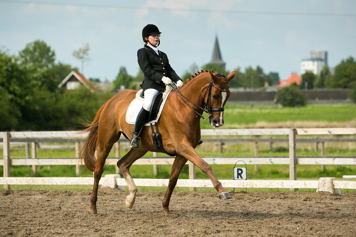 Trakehner Loulóu Sjælstofte (Himmelhest) - Palle T./ CT-FOTO.DK
sydhavscup finale 2013 billede 6