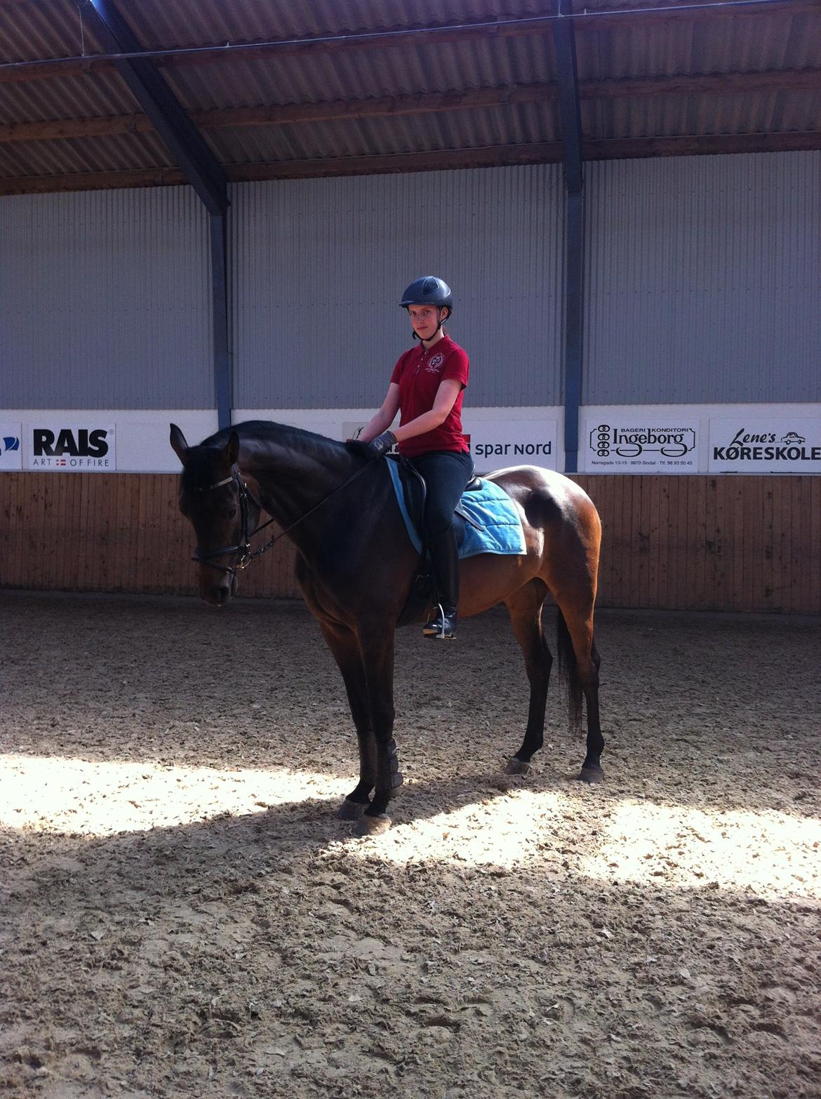 Dansk Varmblod Zaino billede 1