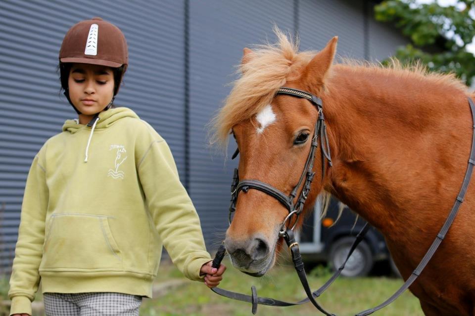 Anden særlig race Alie (HVR) Rideskolepony - :) billede 13