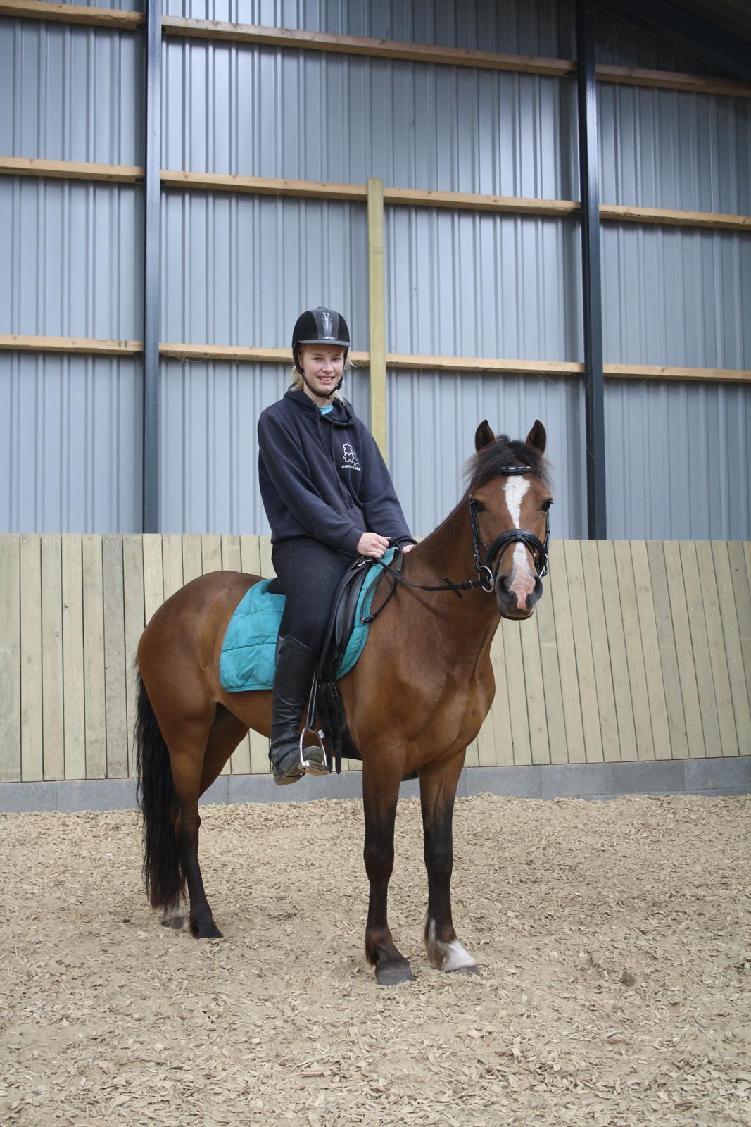 New Forest Odbjergs Elstar billede 8