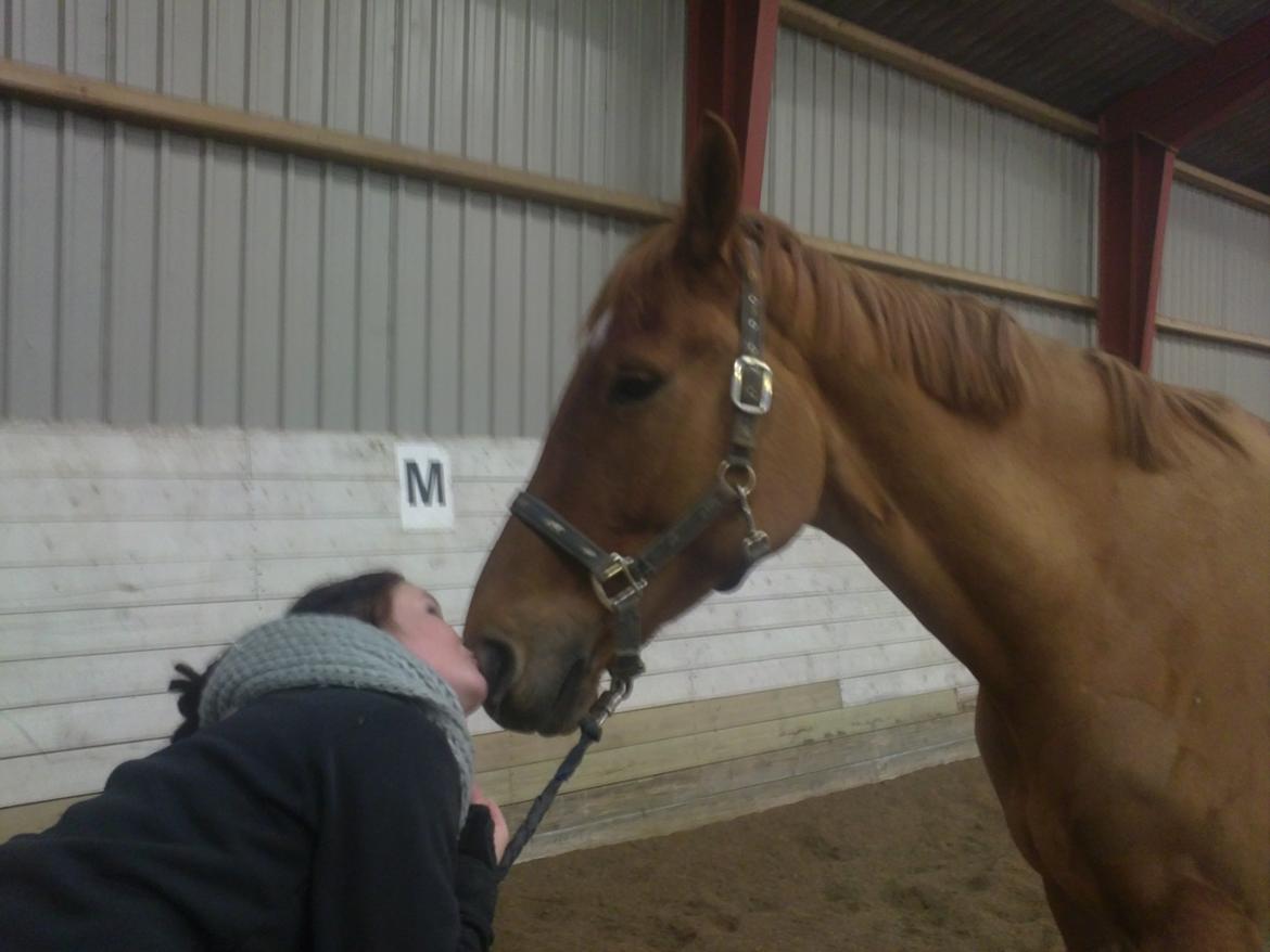 Anden særlig race shaheen cubic - dejlige mus <3 billede 1