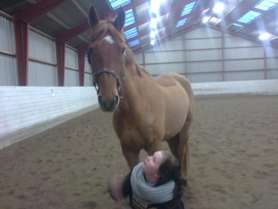 Anden særlig race shaheen cubic - jeg elsker dig mere ind noget andet <3 billede 2