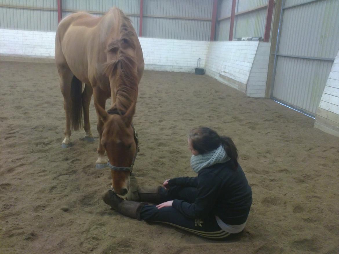 Anden særlig race shaheen cubic - du er verdens bedste ven ingen kan tag din plads i mit hjerte <3
nu slutter vores eventyr skat jeg kommer til af savne af bruge hver dag på dig men det bedst for os begge lige nu du skal vide jeg elsker dig mere ind noget andet du er min stjerne min lille billede 4