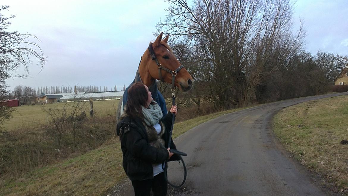 Anden særlig race shaheen cubic - <3 <3  billede 9