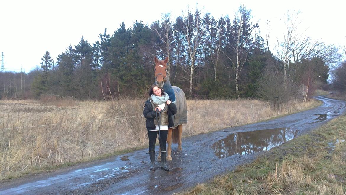 Anden særlig race shaheen cubic - min dejlige rødemand hvad skulle jeg gøre uden dig <3 billede 10