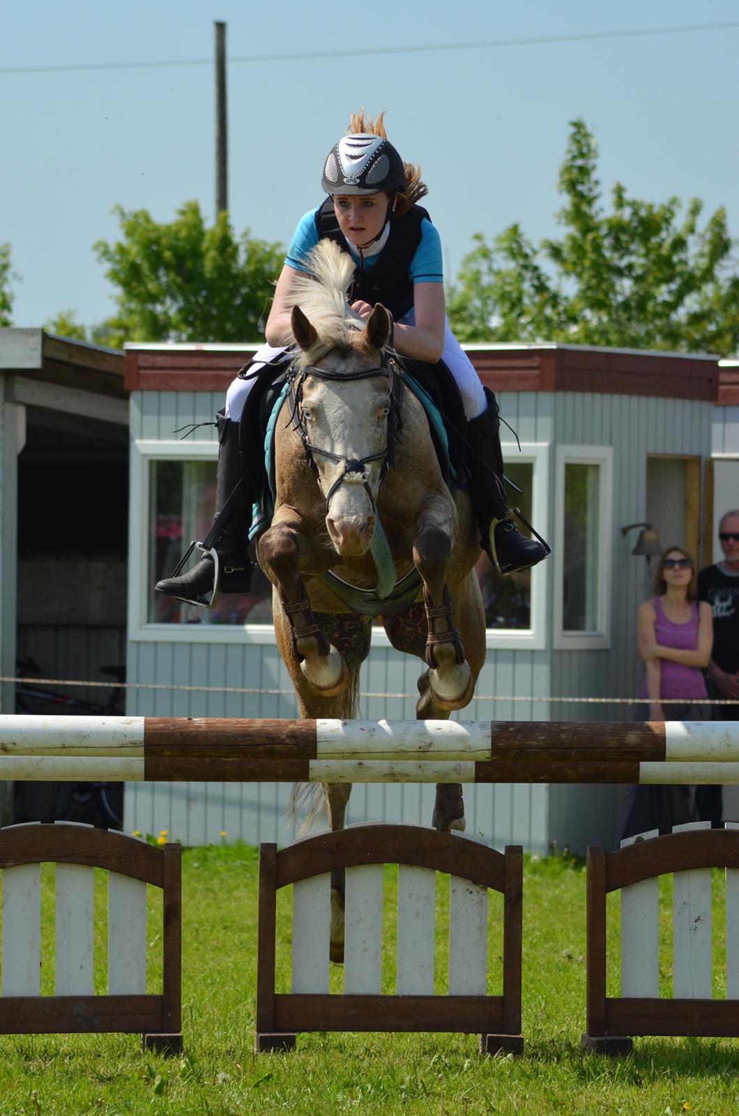 Anden særlig race ROOSGÅRDENS COSMOPOLITAN | Frans - Hjallerup marked LA** billede 1