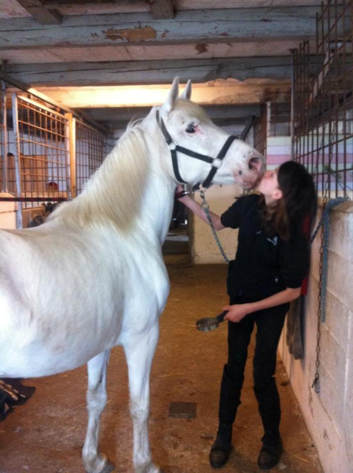 Knabstrupper Bøgelyens Dusty [tidligere hest] billede 19