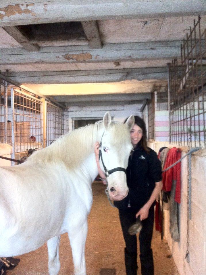 Knabstrupper Bøgelyens Dusty [tidligere hest] billede 21