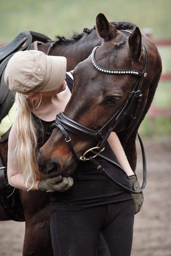 Anden særlig race Paskal - <3 billede 4