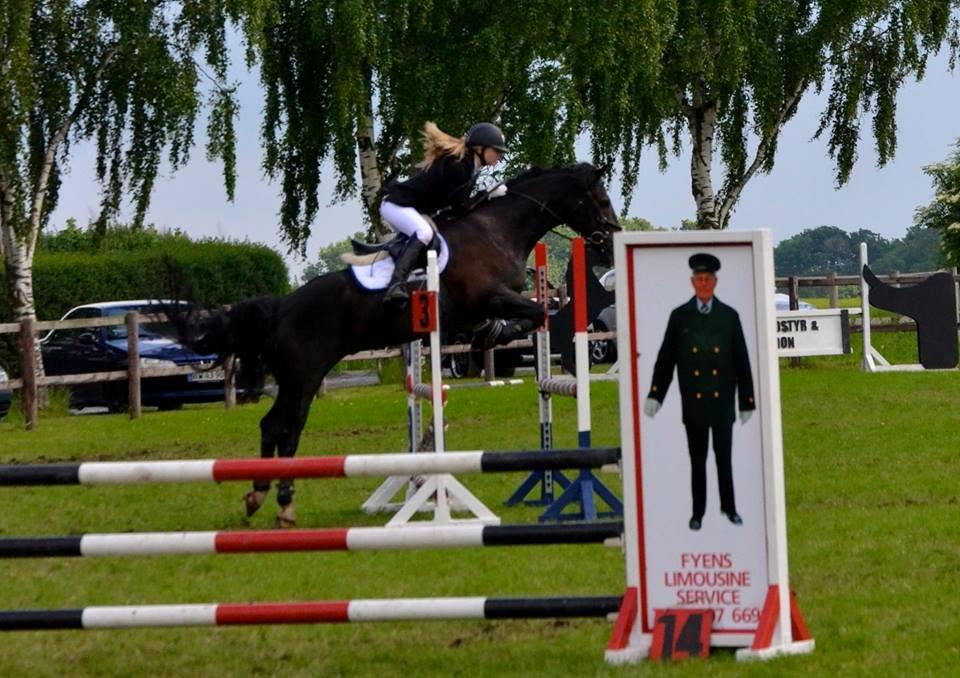 Welsh Cob (sec D) LSG Cæsar (Casino) - Solgt  - Fynsmesterskabet for hold 2013 <3 billede 44