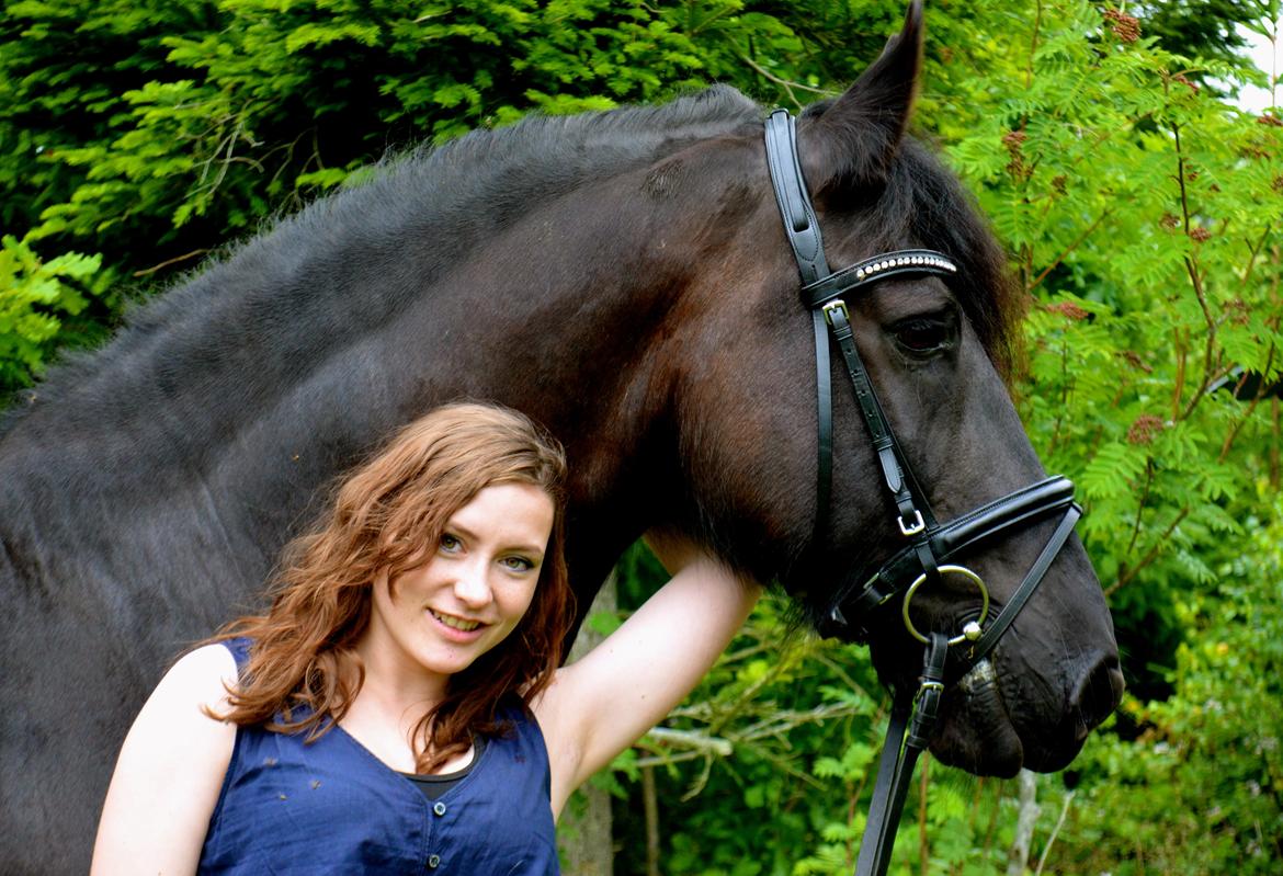 Frieser Hotse Fan It Hiem - min hest er en lækker bisken .. billede 2