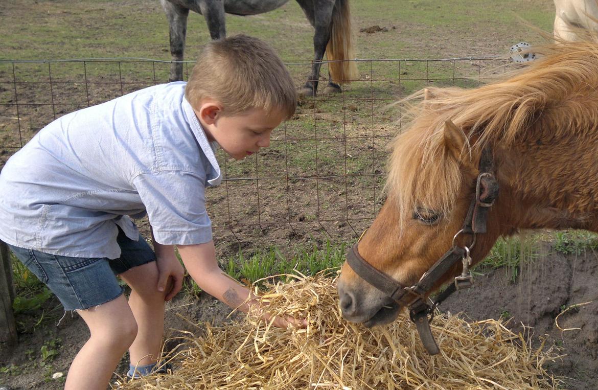 Anden særlig race nips billede 14