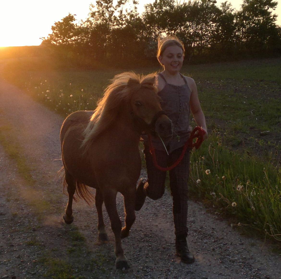 Anden særlig race nips billede 6