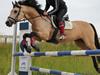 Connemara LILLEVANGS EMMELINE [Tidl. hest]