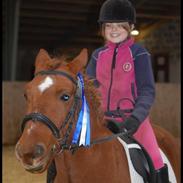 Anden særlig race Red Star  (tidl part)