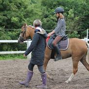 Tysk Sportspony Ketty