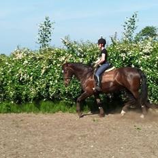 Oldenborg Etasja af Hvarre