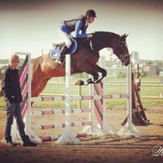 Zangersheide Sally Z