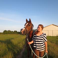 DSP Thorslunds Sunny Boy