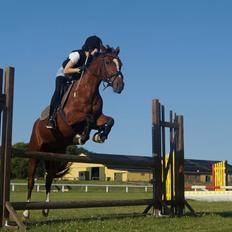 DSP Stald PR'S Paula *. Søsters .* Flomme.. xD