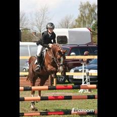 Anden særlig race Vestergårds La Foxy