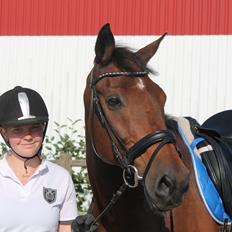 Dansk Varmblod Landeur (Litan)