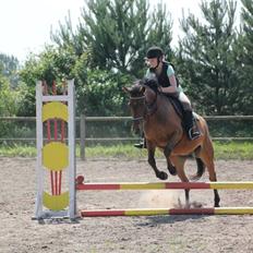 DSP Snorgaardens Monty