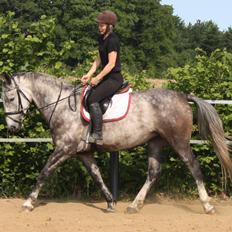 Anden særlig race Cara - SOLGT