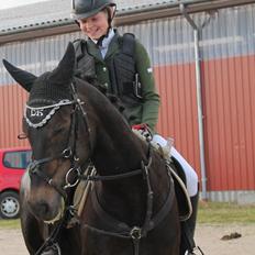 New Forest Tiffany<3