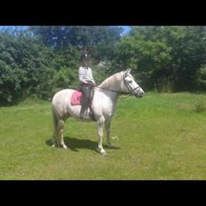 Anden særlig race Jumbi <3