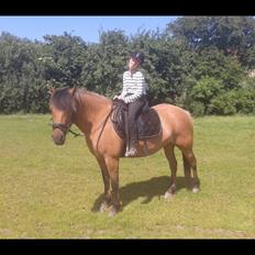 Anden særlig race Brie <3 <3