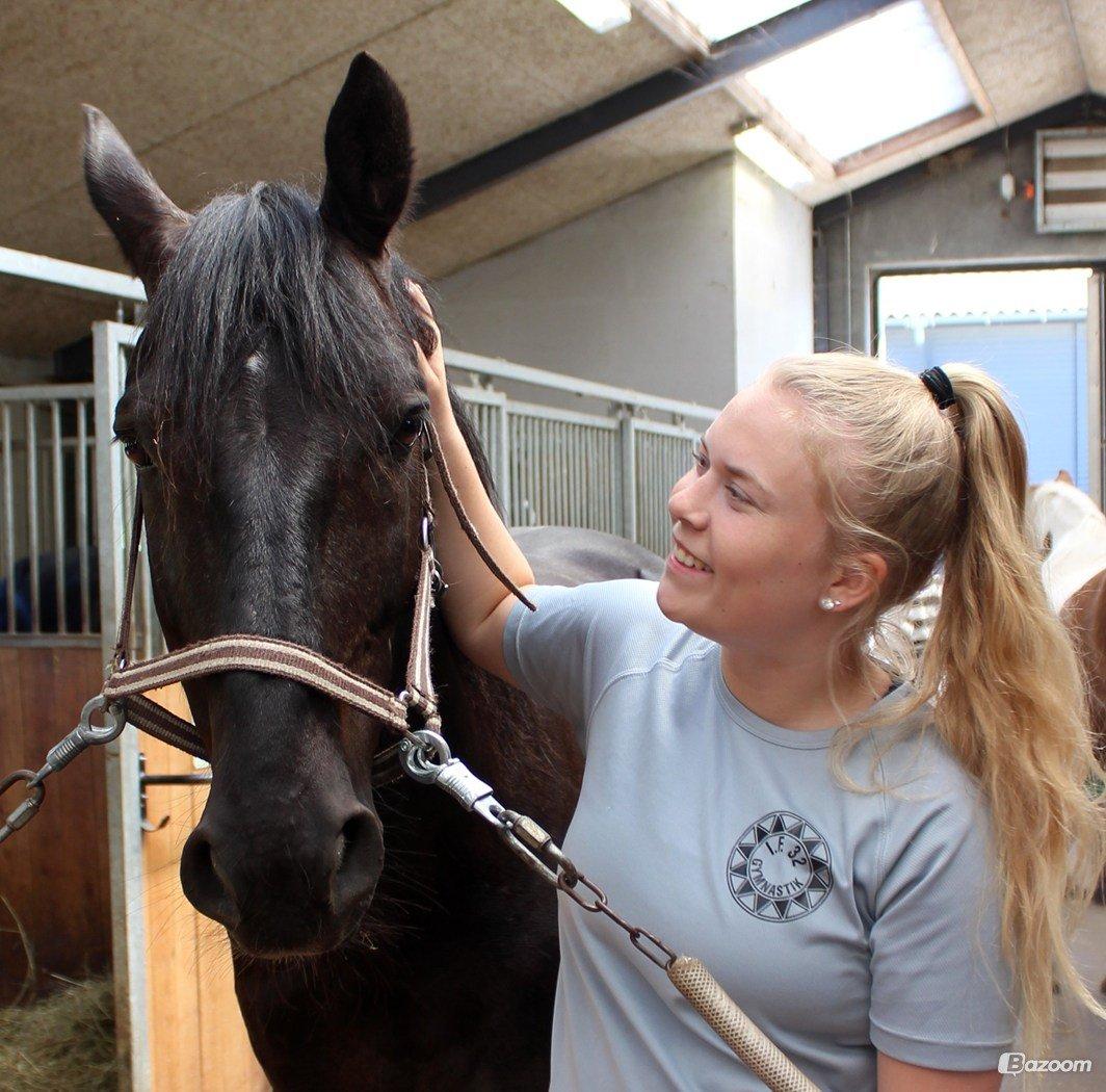 Anden særlig race Mr. D (Dallas) - Mig og Dallas da jeg var ude og besøge ham 1½ år efter jeg sidst havde set ham. Stadig ligeså dejlig! D.12/6-13. (Foto; Bettina Westh) billede 19