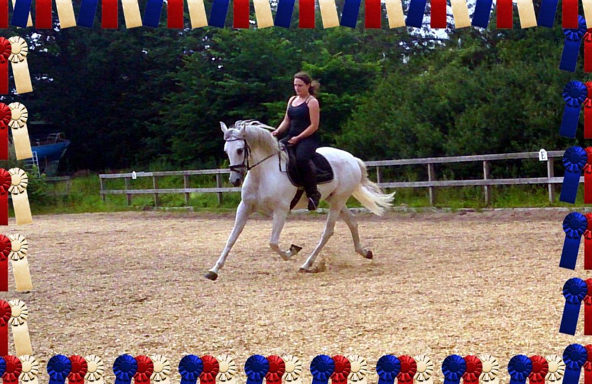 Anden særlig race Raya billede 10