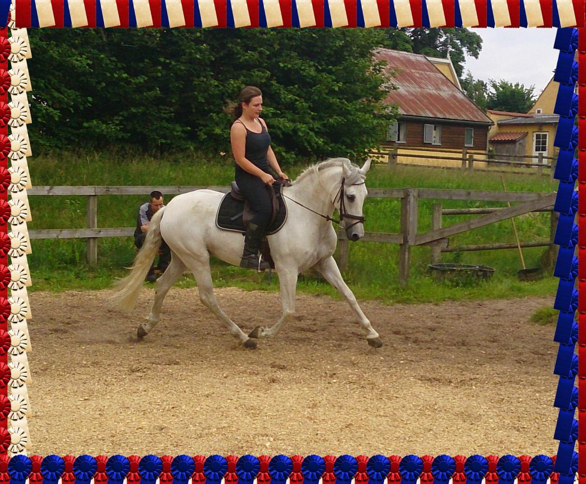 Anden særlig race Raya billede 11