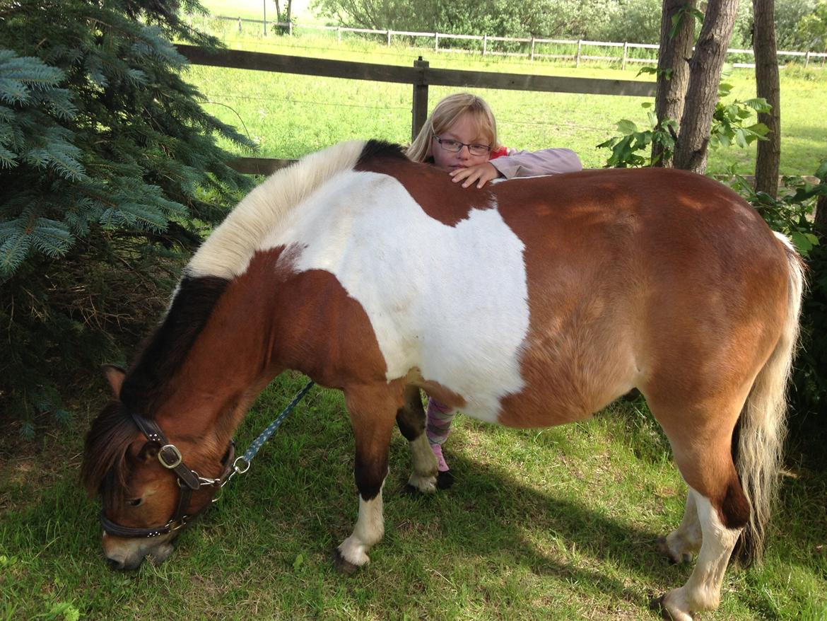 Anden særlig race Valde af ebbedal m billede 15