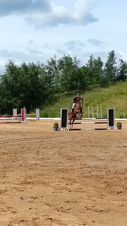 Anden særlig race Ricardo billede 20