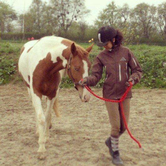 Pinto Araber |Grethe|tidligere hest - solgt - En af vores første træningssessioner sammen. 2013 billede 4