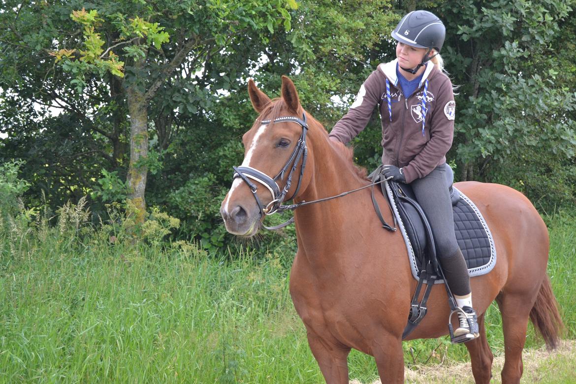 Anden særlig race Cissero - When We Stand Together billede 7